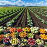 润玉生态农产品与您共赴夏日之约