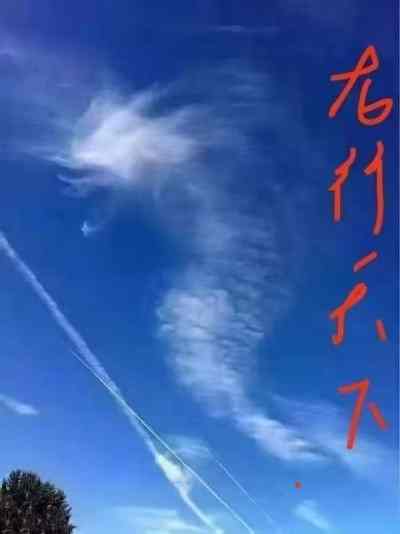 探寻龙文化独立体系：传承龙的传人本源 传递建立龙文化推广站