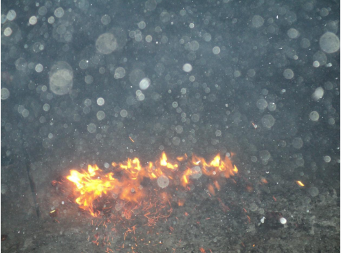 明旺法师讲述：堕胎的果报